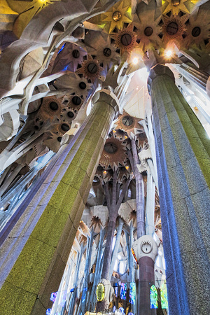 Sagrada Familia, Canopy #1